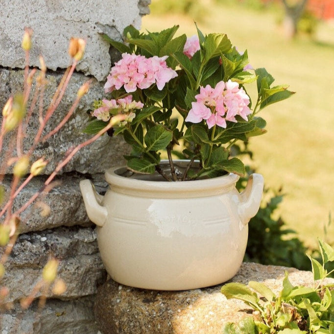 Pot Brobacka – Blanc Cassé – Strömshaga