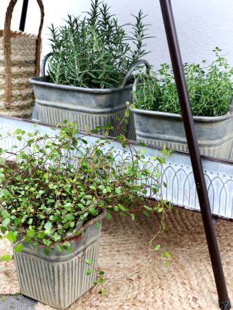 Ensemble de 3 cache-pots Zinc -Chic Antique-